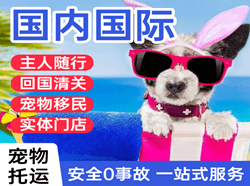 盐城空运国际宠物托运 【国
